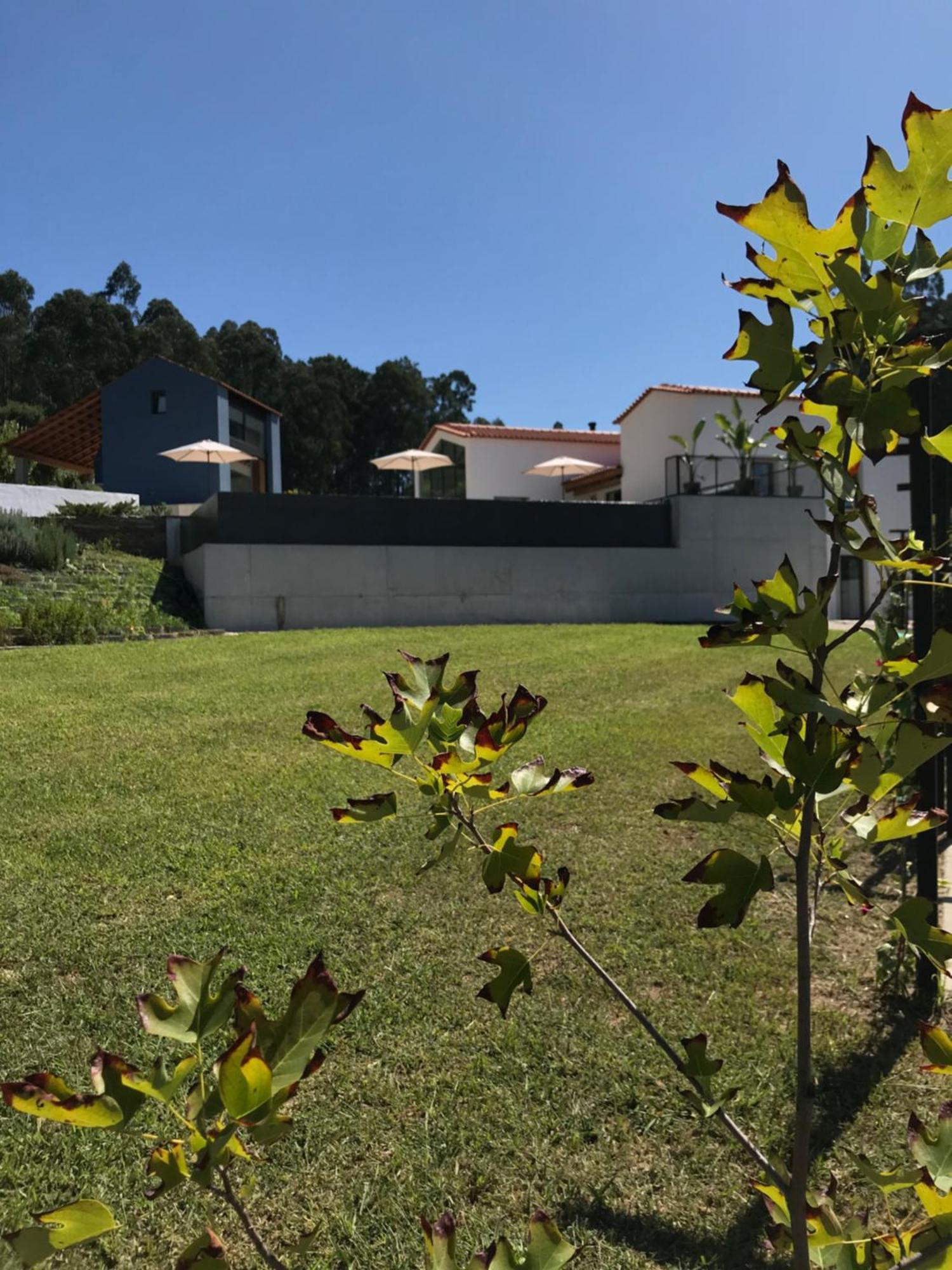 Casa Da Milheira - Agroturismo Oliveira de Azeméis Exterior foto
