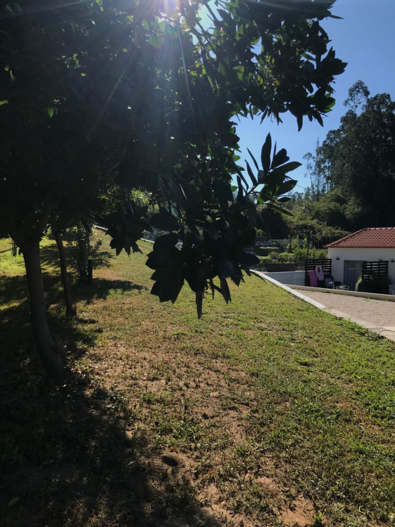 Casa Da Milheira - Agroturismo Oliveira de Azeméis Exterior foto