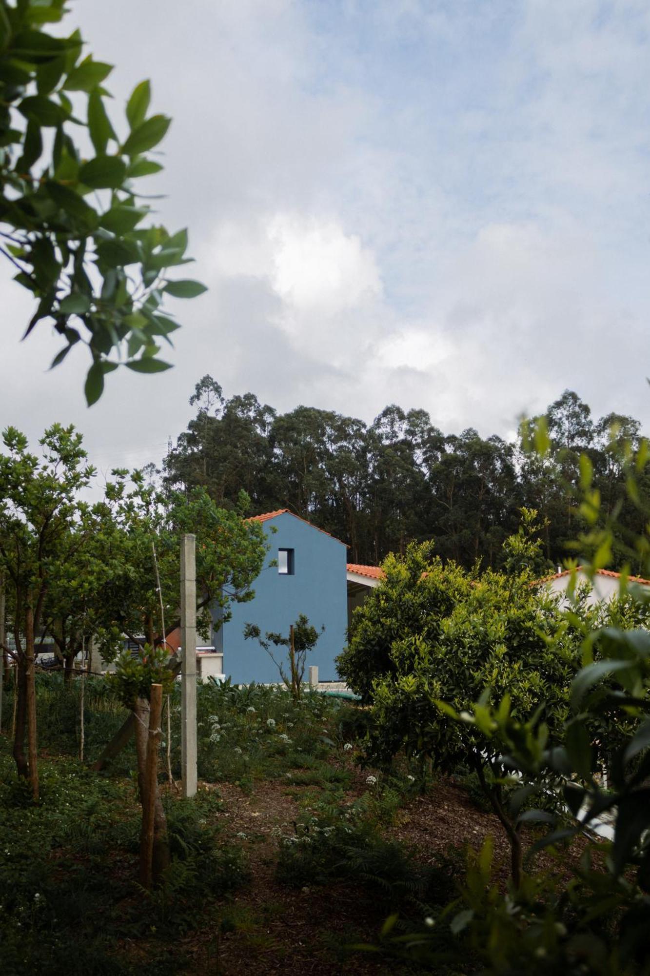 Casa Da Milheira - Agroturismo Oliveira de Azeméis Exterior foto