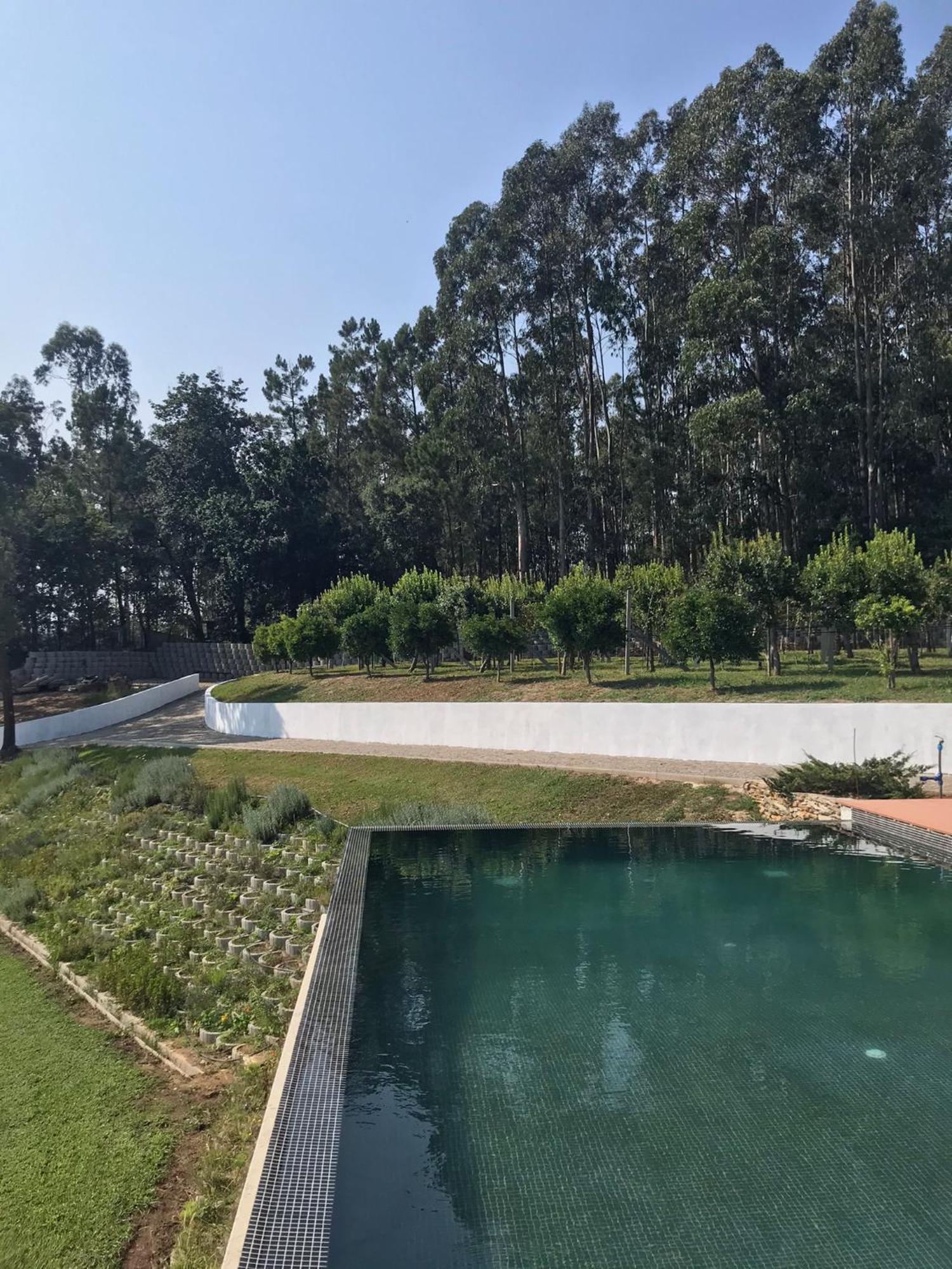 Casa Da Milheira - Agroturismo Oliveira de Azeméis Exterior foto
